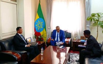 Myanmar Ambassador pays a courtesy call on the Director General of the Ethiopian Ministry of Foreign Affairs